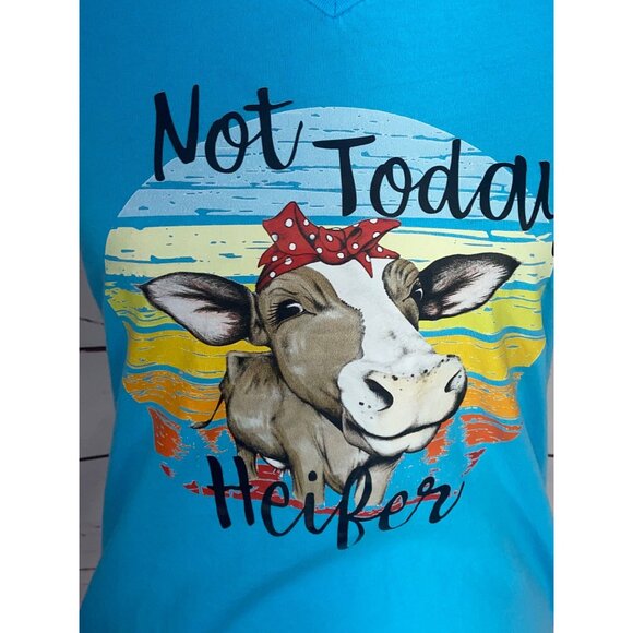 Bella Canvas Teal Blue V Neck Not Today Heifer Short Sleeve Fitted Medium Tee‎ - Picture 6 of 8